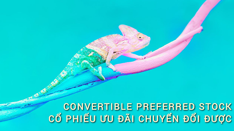 Cổ phiếu chuyển đổi có thể chuyển thành cổ phiếu phổ thông