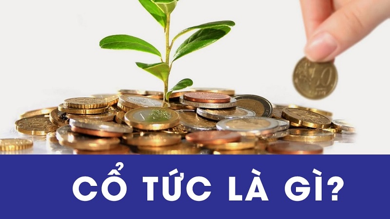Cổ tức là phần lợi nhuận sau thuế được chia cho cổ đông