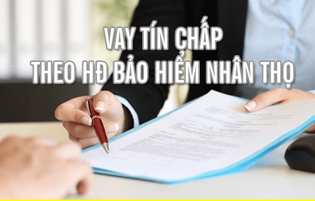 Vay theo hợp đồng bảo hiểm nhân thọ là gì?