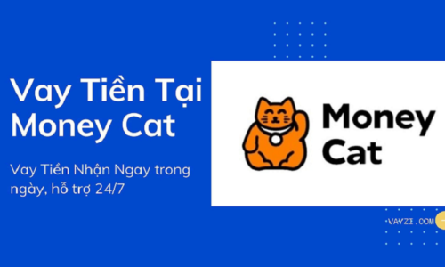 MoneyCat – Vay 10 triệu 0% lãi suất chỉ sau 15 phút (2024)